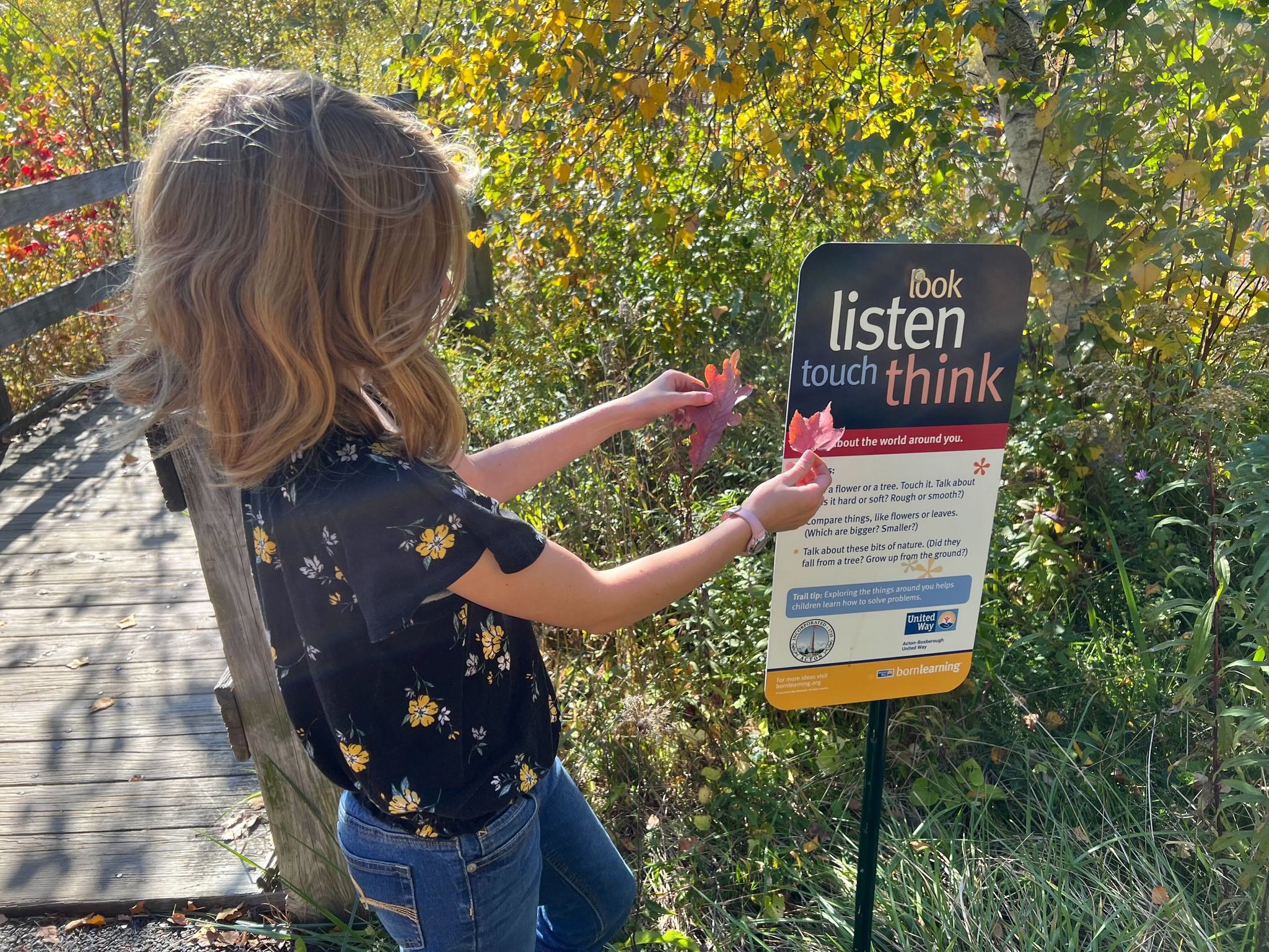 Born Learning Trail compare leaves